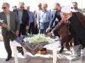 گزارش تصویری مراسم غبار روبی مزار شهدا